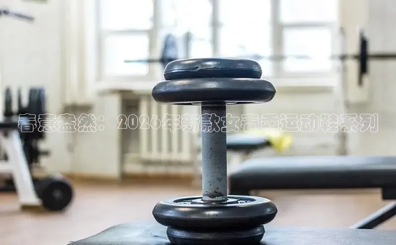球速体育