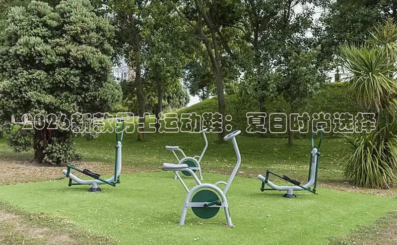 球速体育下载